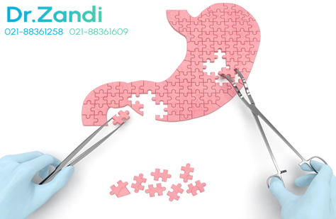 چگونه از گربه در خانه نگهداری کنیم؟