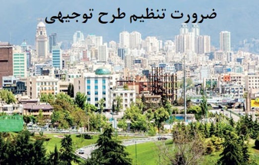 راهنمای نگهداری از زاموفیلیا در آپارتمان (تکثیر زاموفیلیا)