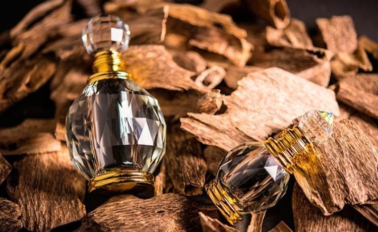 در مورد سرمایه گذاری در فرانسه با خرید ملک چه میزان میدانید؟