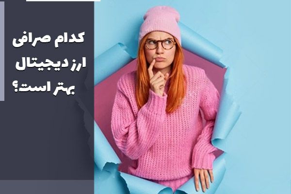 غذای گربه مفید منبعی مغذی برای تغدیه بچه گربه و گربه پرشین
