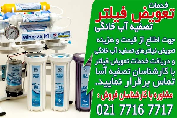 شاخه گل تبریک؛ راهنمای خرید شاخه گلی زیبا برای تبریک