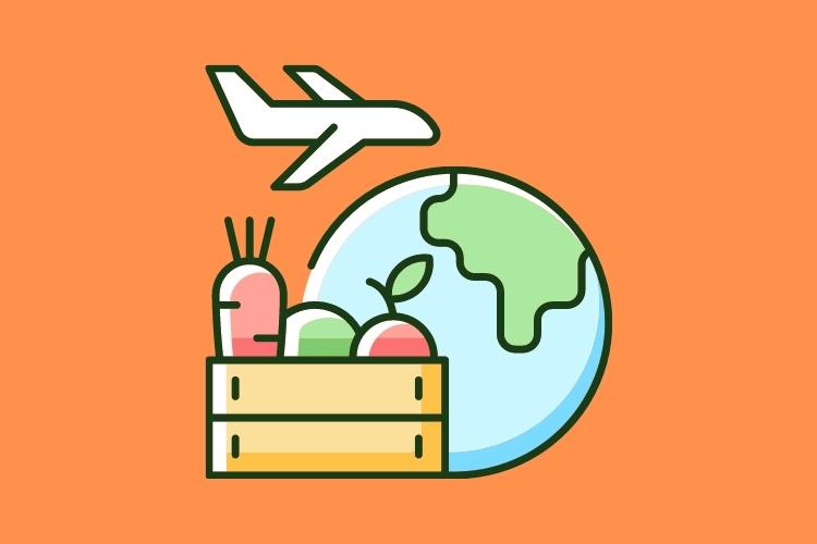 مهاجرت پزشکان و گام های اولیه : مؤسسه بین المللی راد