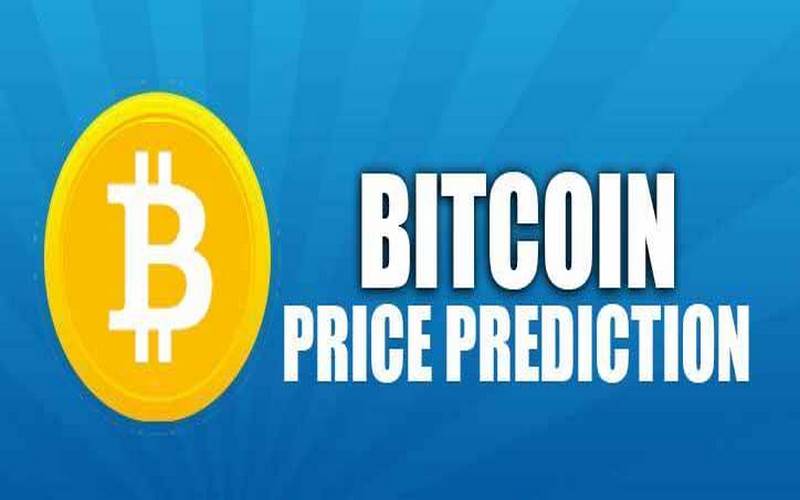 تشویقی سگ و گربه چیست؟ و چرا باید خطرات استفاده بی رویه آن را جدی بگیرید؟