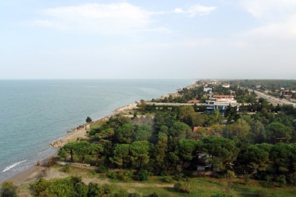 چگونه از گربه در خانه نگهداری کنیم؟